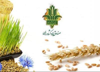 خسارت به حوزه های زارعت و باغبانی لرستان هنوز پرداخت نشده است