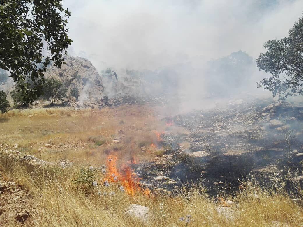 خبرنگاران مزارع و منابع طبیعی پلدختر طمعه حریق شد خبرنگاران مزارع و منابع طبیعی پلدختر طمعه حریق شد