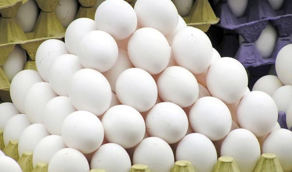 اصغری: توزیع تخم مرغ با قیمت شانه ای 34000 تومان شروع شد