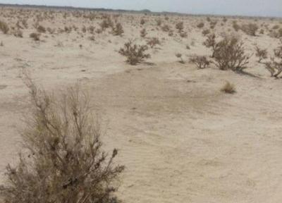 تثبیت خاک منطقه فوق بحرانی اصفهان پس از 5 سال تحقیق